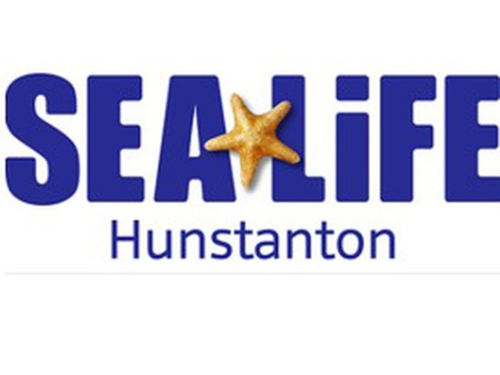 Sea Life Hunstanton Seagate Road Hunstanton Thu 18th May 2023 Lineup