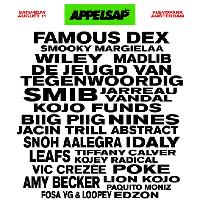 Appelsap Festival 2018 at Flevopark