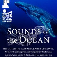 Sounds Of The Ocean at The Old Market