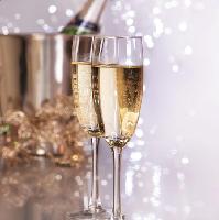 Glistening White New Years Eve Gala Ball