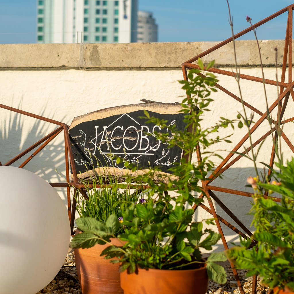 Jacobs Rooftop Cardiff Drinks with a View. BAR OPEN!, Jacobs Roof Garden, Cardiff, 8 June 2024 ...