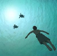 The Red Turtle (pg)