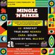 Mingle 'N' Mixer Event Title Pic