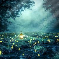 A Midwinter Night