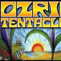 Ozric Tentacles - Electronic at Hare And Hounds