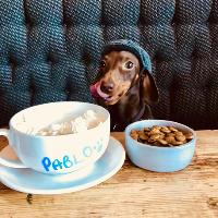 The Dachshund Diner