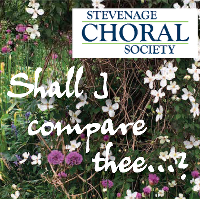 SCS - Shall I compare Thee?