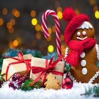 Festive Daily Lunch