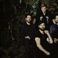 Foals