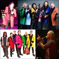 Showaddywaddy