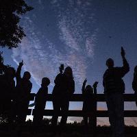 Bats, Bugs & Beers