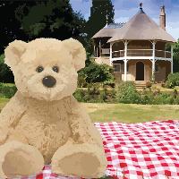 Teddy Bears Picnic