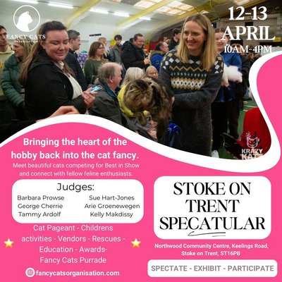 Fancy Cats Organisation - Stoke on Trent SpeCATular