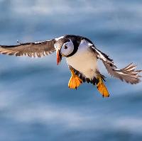 Bolton Digital Photographic Society annual exhibition