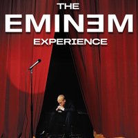 2212233_71049335_the-eminem-
