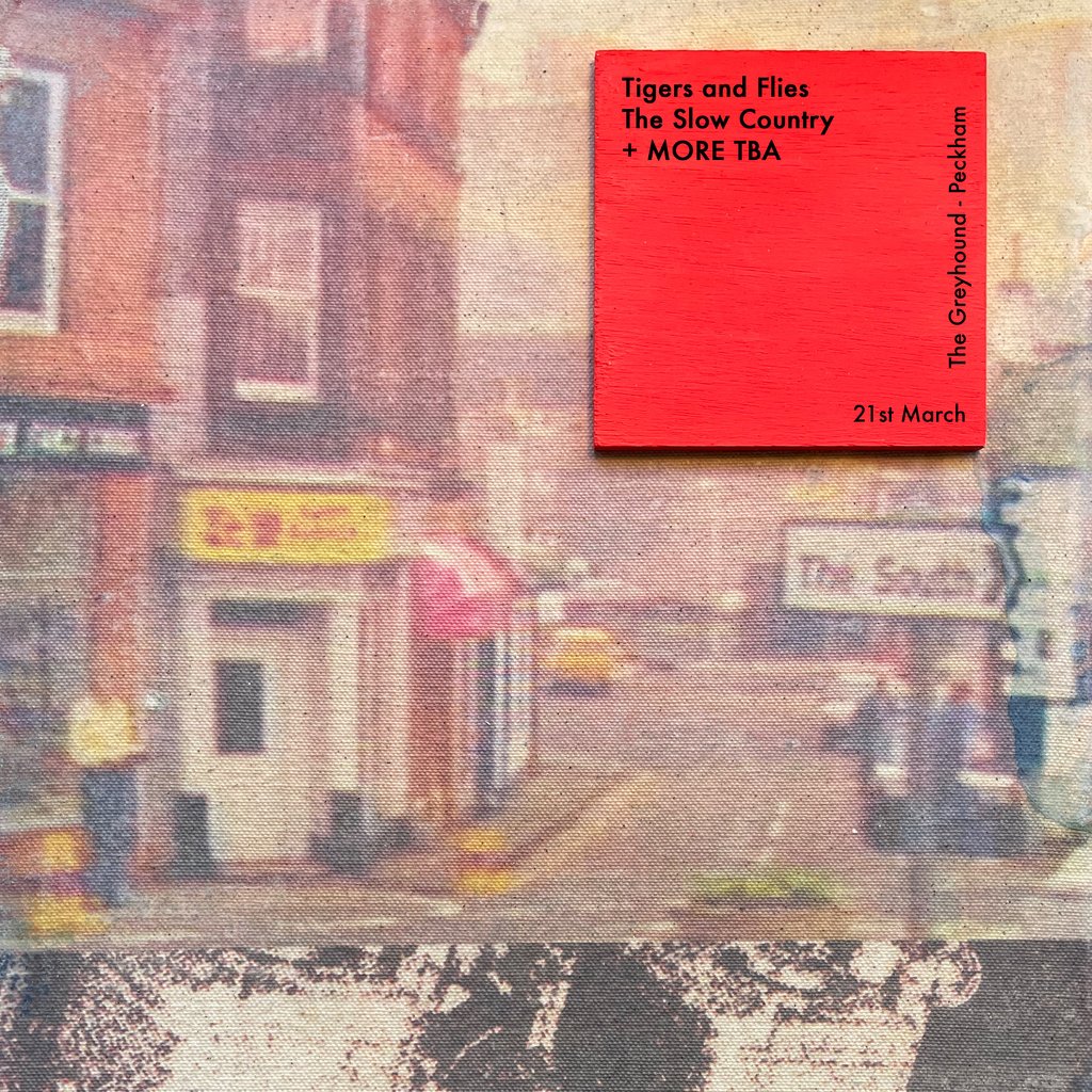 Tigers and Flies LP Fundraiser w/ The Slow Country + SHY 