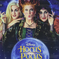 Hocus Pocus at Filton Airfield