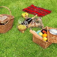 Champagne Picnic 2018