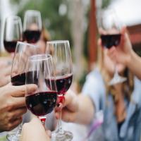 Wine Club Wednesdays