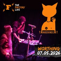 tAngerinecAt at The Factory Live
