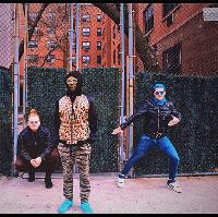 Too Many Zooz