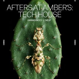 Afters at Amber