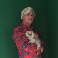 Robyn Hitchcock