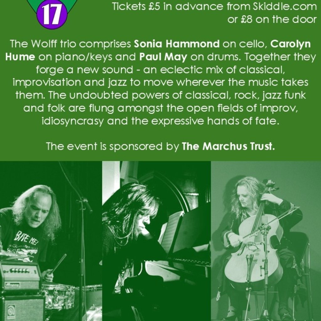Wolff Trio at Greenrooms Treforest, Pontypridd