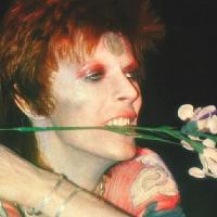Des Was a Bowie Fan: Walthamstow - The Victoria