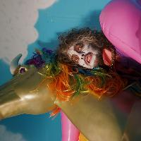 The Flaming Lips The Flaming Lips