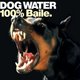 Dog water Event Title Pic