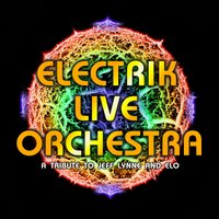 Electrik Live Orchestra at The Flowerpot