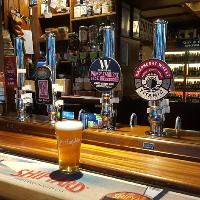 Beer Tasting Experience Tour