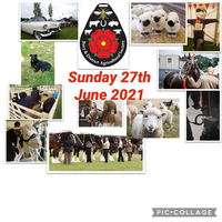 Bury Show at Burrs Country Park