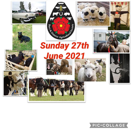 Bury Show