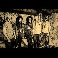 Mellow Mood plus support at Patterns