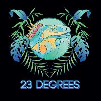 23 Degrees Presents Dismantle
