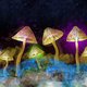 The Science of Psychedelics with Dr Sam Gandy Event Title Pic
