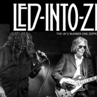 Led-Into-Zeppelin at The Salty Dog