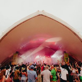 AfroParkFest 2027