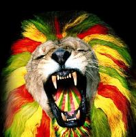 Selah Sounds