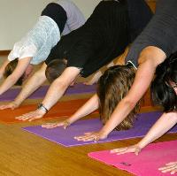 Relax & Rejuvenate Weekend Retreat at Godshill Park Farm House