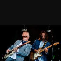 Faces tribute band - Blind horse