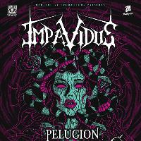 Impavidus Headline Show