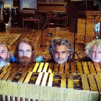 Wooden Shjips Wooden Shjips
