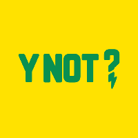 Y Not? Festival 2020 Y Not? Festival 2020