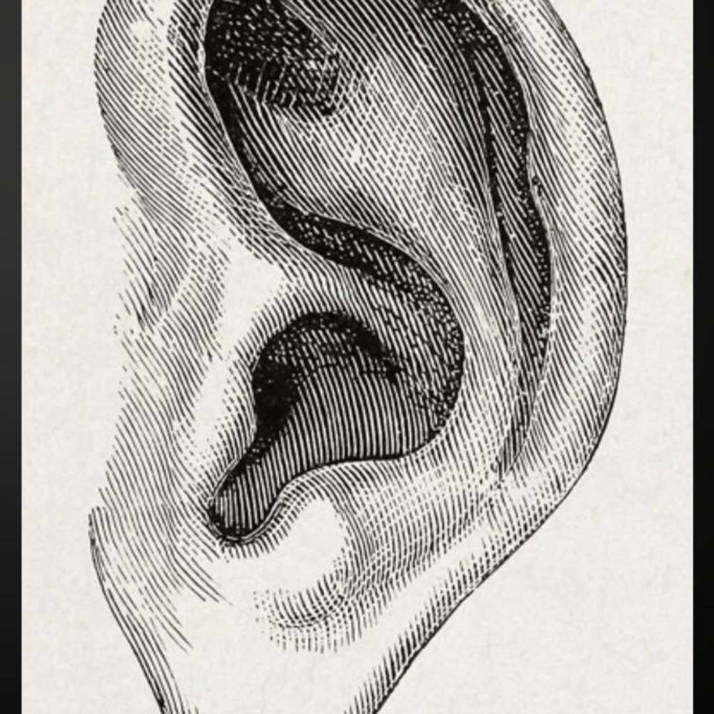An Evening of Noise
