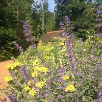 Workshop: Autumn Propagation at The Swiss Garden