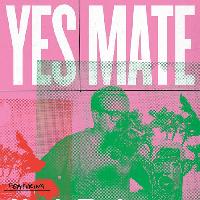 YES MATE: Featuring Alexis Taylor (DJ Set)