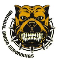 Original Breed Recordings And Friends Present: Basement sessions at The Basement Club